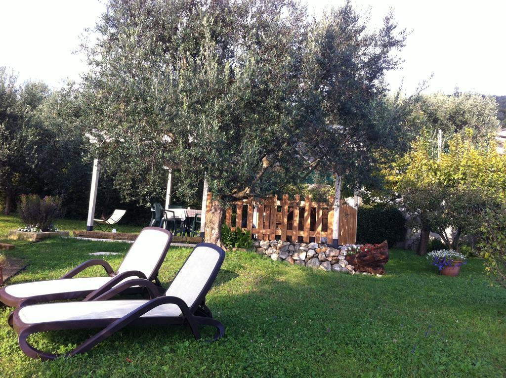 Agriturismo Casa Rosa Verona Exteriör bild