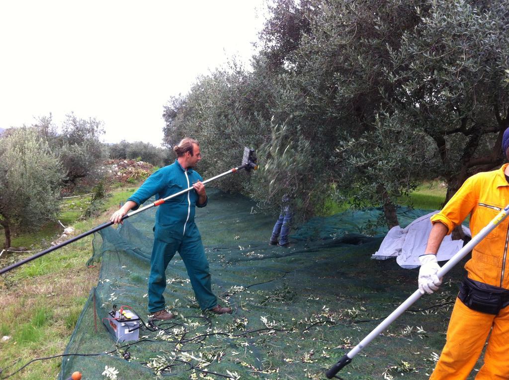 Agriturismo Casa Rosa Verona Exteriör bild